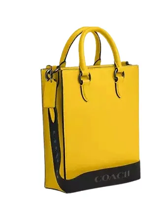Coach Dylan Tote Bag