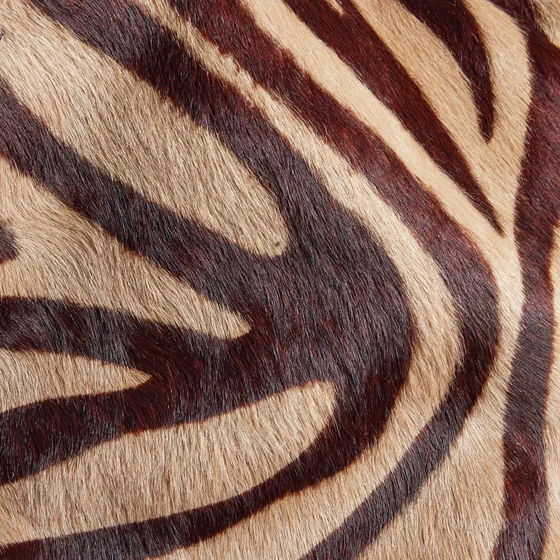 Jack - Zebra