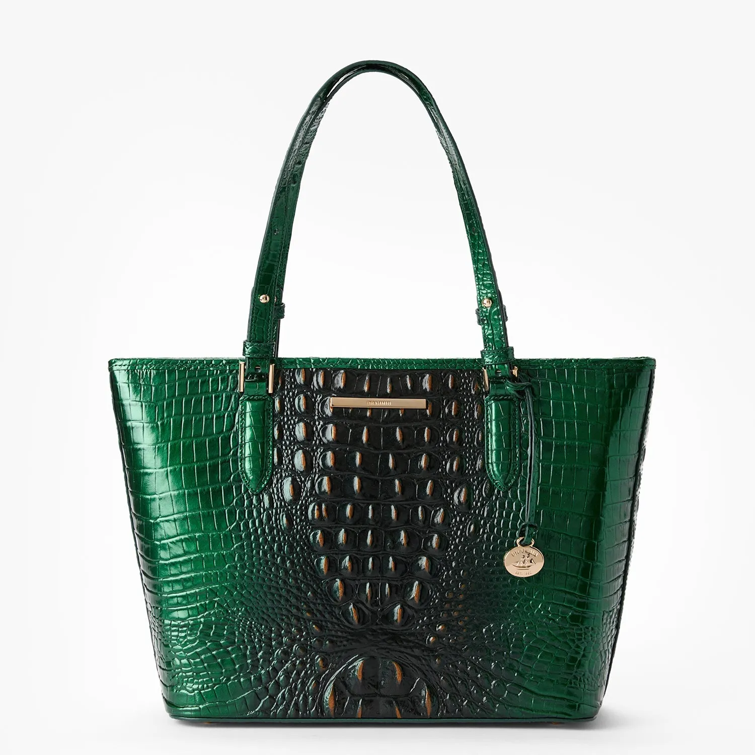 Medium Asher Tote Evergreen Ombre Melbourne